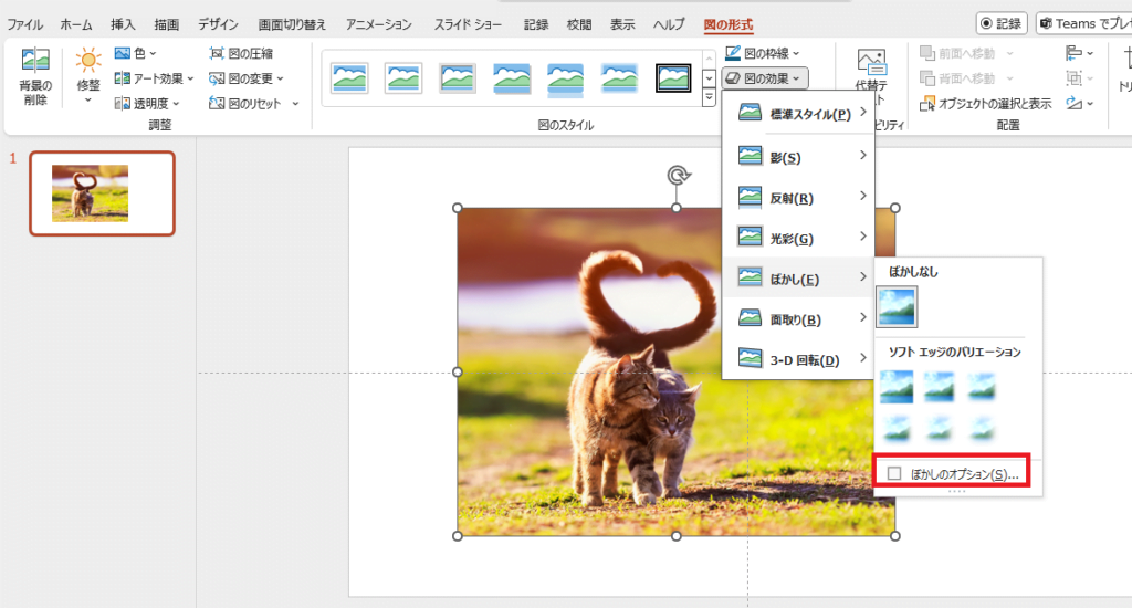 「ぼかしのオプション」をクリックする