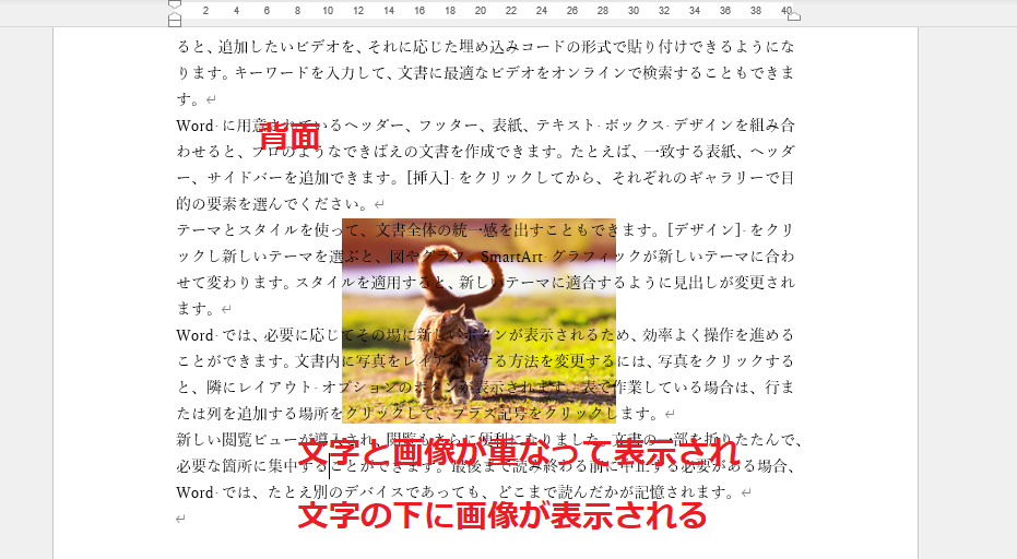 「背面」