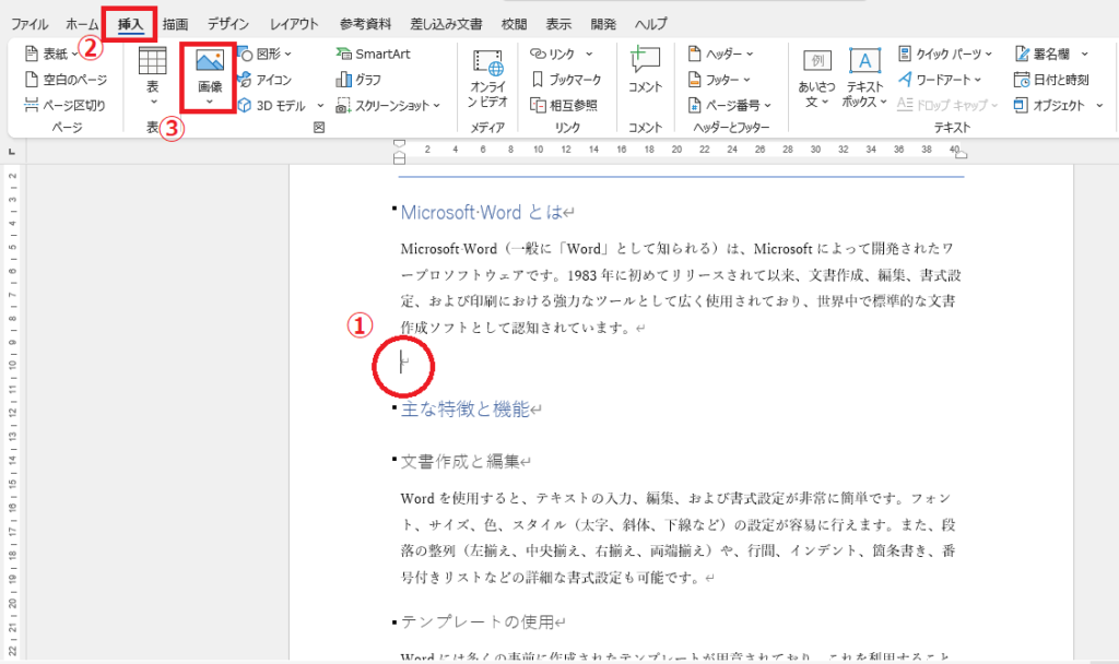画像を挿入したい場所にカーソルを合わせ、「挿入」タブの「画像」をクリックする