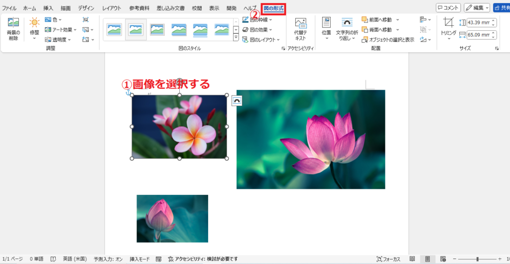 画像をクリックして選択し、「図の形式」タブをクリックする