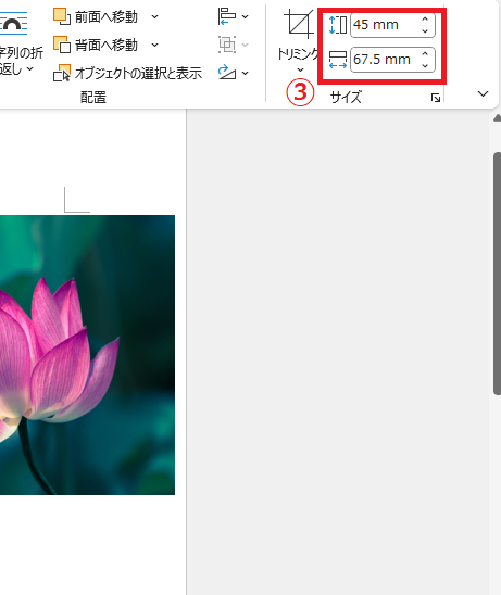 「画像の高さ」または「画像の幅」に希望のサイズを入力する