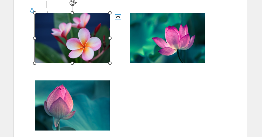 画像のサイズを同じにすることができる