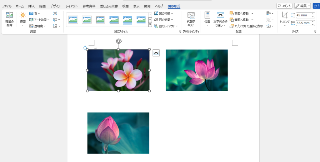 選択していた画像のサイズが変更される